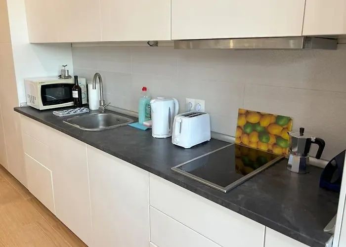 Evans Realty Bc Estudio En Centro Apartamento *